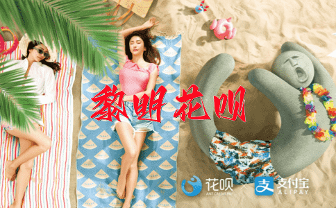 高情逸兴花呗